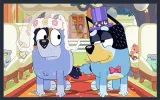 magnes-bluey-producent-stan-nowy