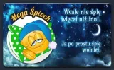 magnes-mega-spioch-producent