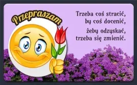 magnes-przepraszam-producent