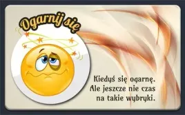 magnes-ogarnij-sie-producent
