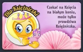 magnes-dla-ksiezniczki-producent