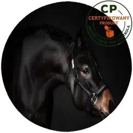 oplatek-na-tort-konie-producent