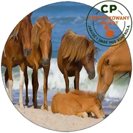 oplatek-na-tort-konie-producent
