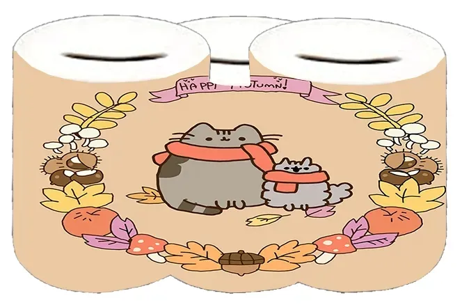 skarbonka-pusheen-producent