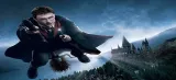 skarbonka-harry-potter-producent-plec-chlopcy-dziewczynki