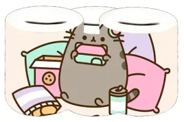 skarbonka-pusheen-producent