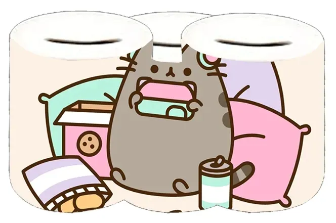 skarbonka-pusheen-producent