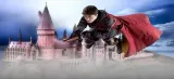 skarbonka-harry-potter-producent-plec-chlopcy-dziewczynki