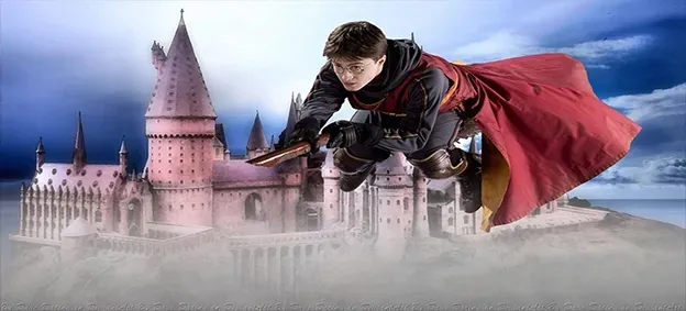 skarbonka-harry-potter-producent-stan-nowy