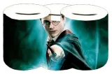 skarbonka-harry-potter-producent