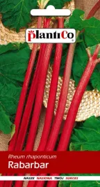 rabarbar-lider-plantico-05-g-159