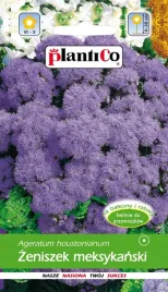 zeniszek-meksykanski-fioletowy-tetra-blue-mink-zapyla-ogrod-025g