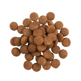 fitmin-dog-for-life-duck-and-turkey-1kg