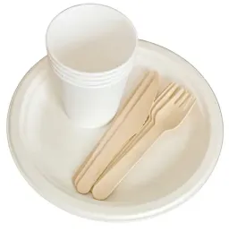 zestaw-grill-talerze-kubki-jednorazowe-piknik-4os