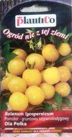 pomidory-ola-polka-nasiona-05-g-144