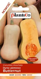 dynia-butternut-nasiona-2g-plantico-147
