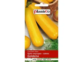 kabaczki-i-cukinie-plenna-nasiona-3-g-plantico-148