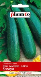 nasiona-plantico-cukinia-soraya-3-g-151