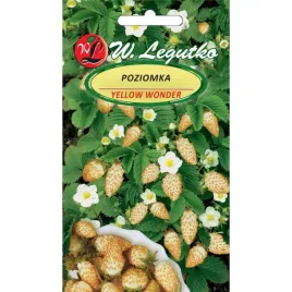 poziomka-yellow-wonder-legutko-01g-127