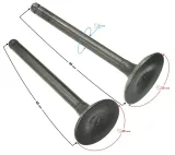 zawory-110cc-do-silnika-bts-numer-katalogowy-czesci-5905220820573