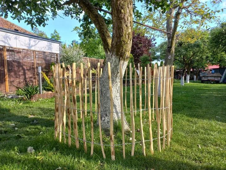 plot-leszczynowy-plot-lupany-plot-drewniany-80x500-cm-odstep-4-5-cm-dlugosc-5-m-stan-nowy