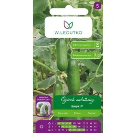 ogorek-salatkowy-pod-oslony-smyk-f1-2g-nasiona-w-legutko-133