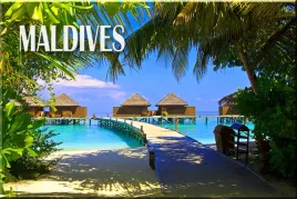 malediwy-maldives-02-plaza-palmy-magnes-magnesy-na-lodowke