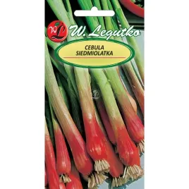 nasionacebula-siedmiolatka-red-toga-2-g-legutko-3