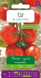 pomidor-moneymaker-05g-legutko-207