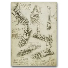 retro-wydruk-na-plotnie-da-vinci-kosci-stopy-a1