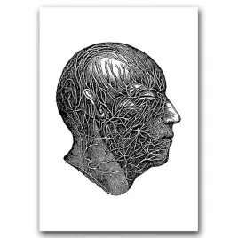 plakat-vintage-anatomiczne-odciski-nerwow-glowy-a1