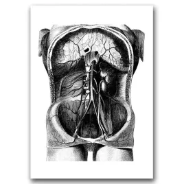 klasyczny-plakat-do-pokoju-szkielet-ilustracja-a1