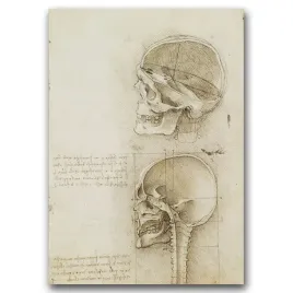plakat-w-stylu-retro-da-vinci-vintage-a1