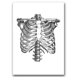 plakat-w-stylu-retro-anatomiczny-szkielet-a1