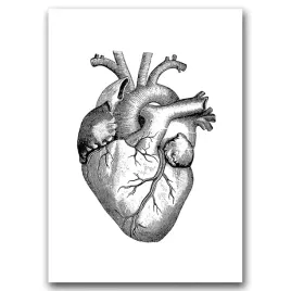 klasyczny-plakat-na-plotnie-serce-a1-594x841-cm