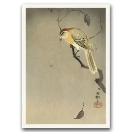 plakat-w-stylu-vintage-ptak-i-pajak-na-galezi-a1