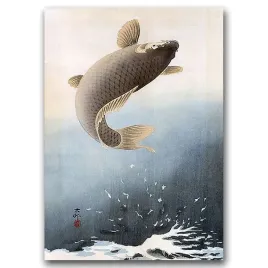 plakat-w-stylu-retro-skaczacy-karp-ohary-koson-a1