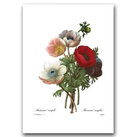 plakat-w-stylu-retro-kwiatowy-nadruk-anomonu-a1