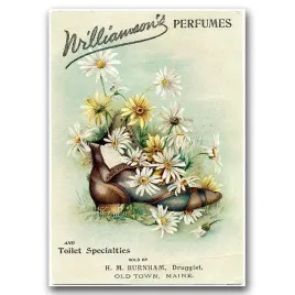 plakat-na-plotnie-na-sciane-perfumy-williamsona-a1