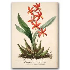 plakat-vintage-do-salonu-kwiatowy-nadruk-a1