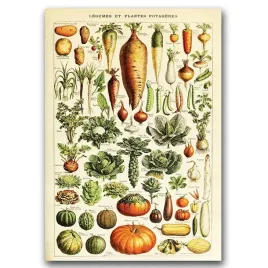 plakat-na-sciane-w-stylu-retro-warzywa-a1
