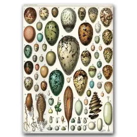 plakat-w-stylu-retro-adolphe-millot-jaja-a1