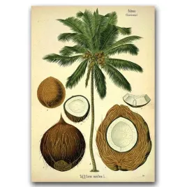 plakat-w-stylu-vintage-palma-kokosowa-a1-594x841