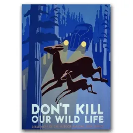 plakat-vintage-na-sciane-don-t-kill-wild-life-a1