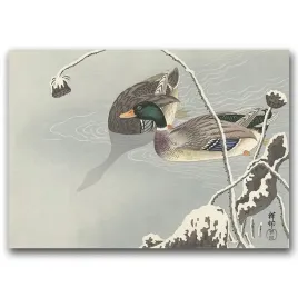 plakat-retro-do-salonu-dwie-kaczki-ohary-koson-a1