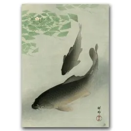 plakat-na-sciane-ryba-koi-autorstwa-oharn-koson-a2