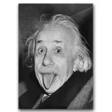 retro-plakat-albert-einstein-tongue-out-a3
