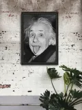 retro-plakat-albert-einstein-tongue-out-a2-stan-nowy