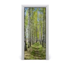 fototapeta-na-drzwi-samoprzylepna-las-brzozowy