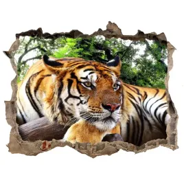 dziura-3d-fototapeta-na-sciane-tygrys-na-skale